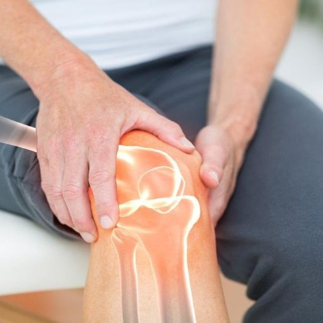 Cartilago - ASKO Le ricette del naturopata