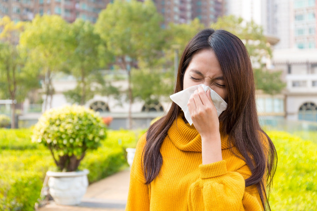 L’allergia al cipresso: sintomi e rimedi naturali