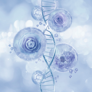 Glutatione: la migliore difesa contro l’invecchiamento