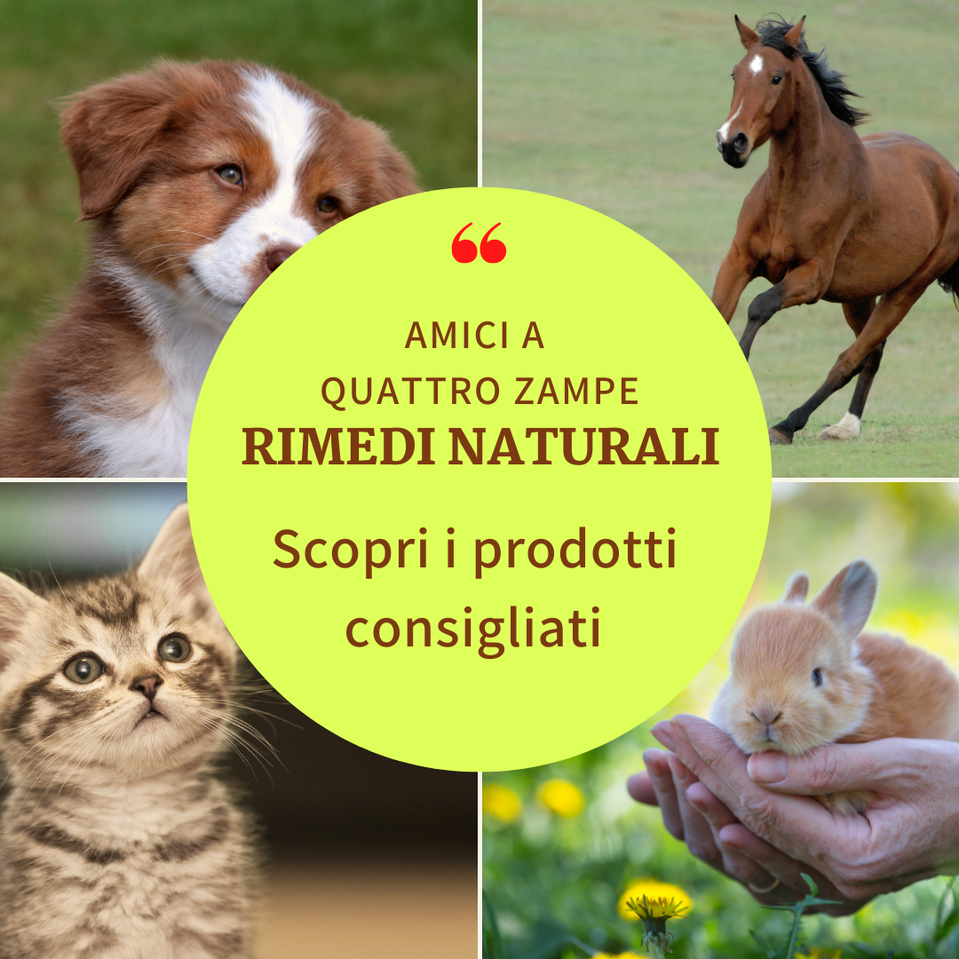 AMICI FEDELI: salvaguarda la loro salute