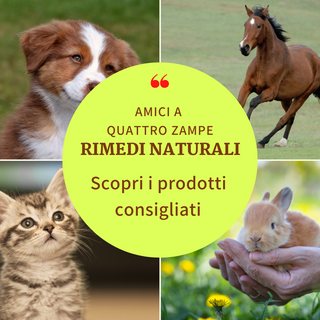 Amici fedeli: salvaguarda la loro salute