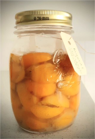 Komquat fermentati