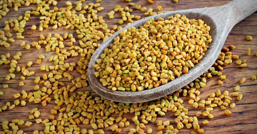 Diabete, rimedi naturali: il fieno greco riduce la glicemia alta