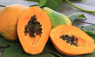 I benefici dei semi di papaya
