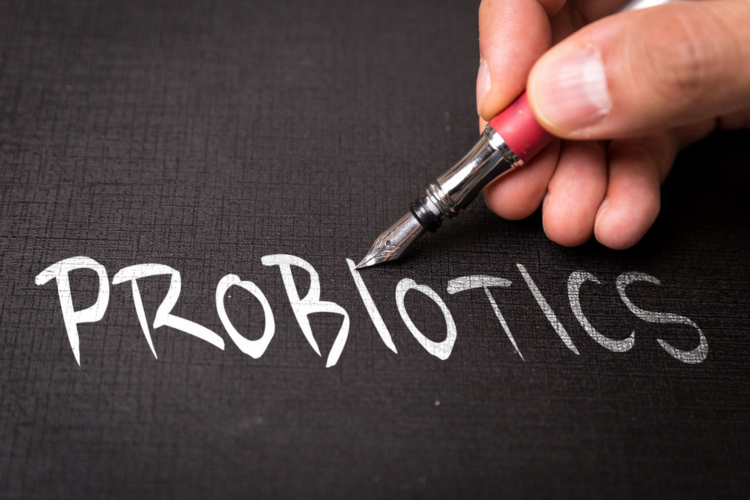 Probiotici, e fermenti lattici probiotici: cosa sono?