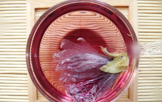 Mucillagine di Malva per disturbi dell’apparato gastrointestinale