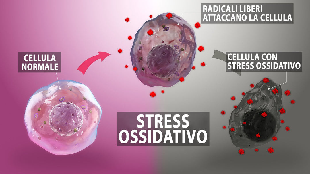 Stress ossidativo e Glutatione: una risposta per la salute