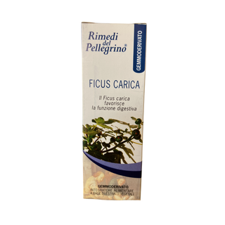 Ficus Carica - ASKO Le ricette del naturopata 