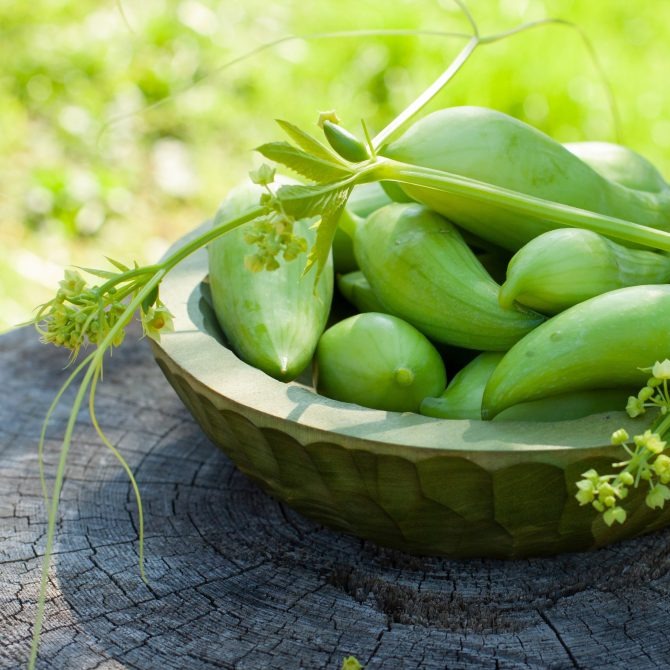 Caigua - ASKO Le ricette del naturopata 