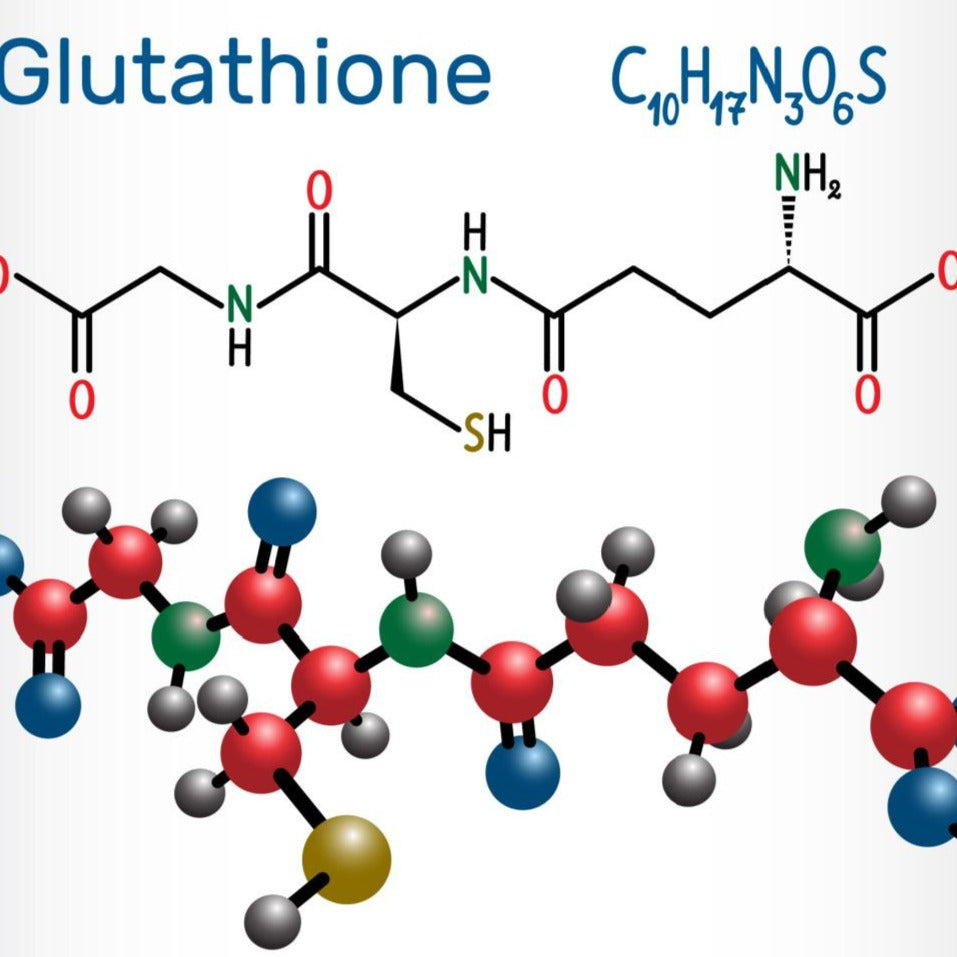 QUERCITIN GSH - ASKO Le ricette del naturopata 