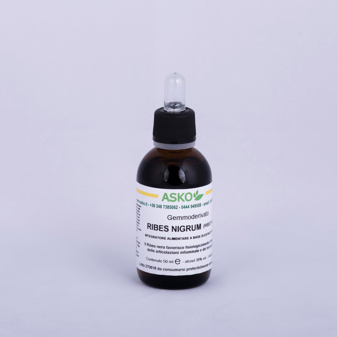 Ribes Nigrum - ASKO Le ricette del naturopata 