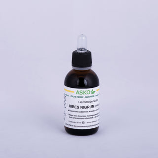Ribes Nigrum - ASKO Le ricette del naturopata 