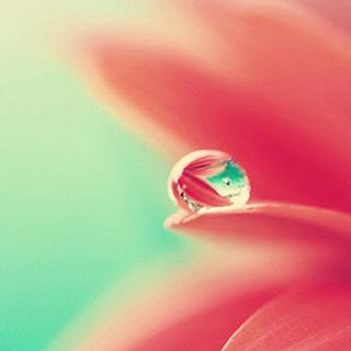 Jaluracid - ASKO Le ricette del naturopata 