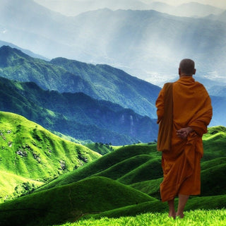 Padma - ASKO Le ricette del naturopata 