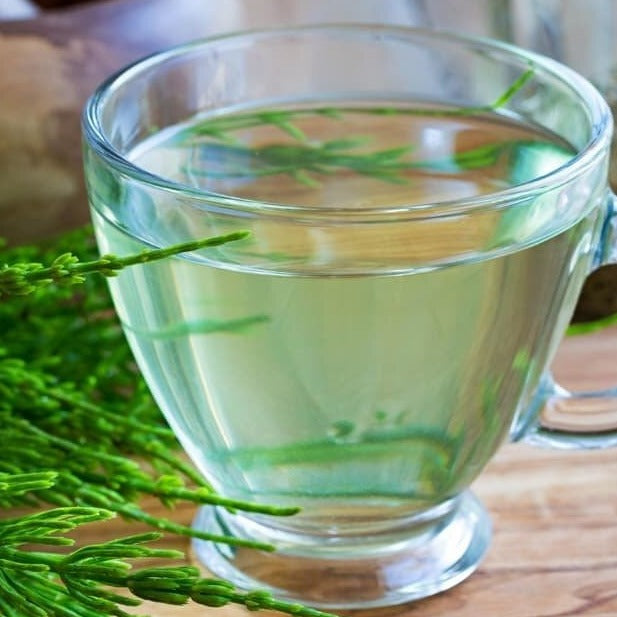 Tisana Equiseto - ASKO Le ricette del naturopata 